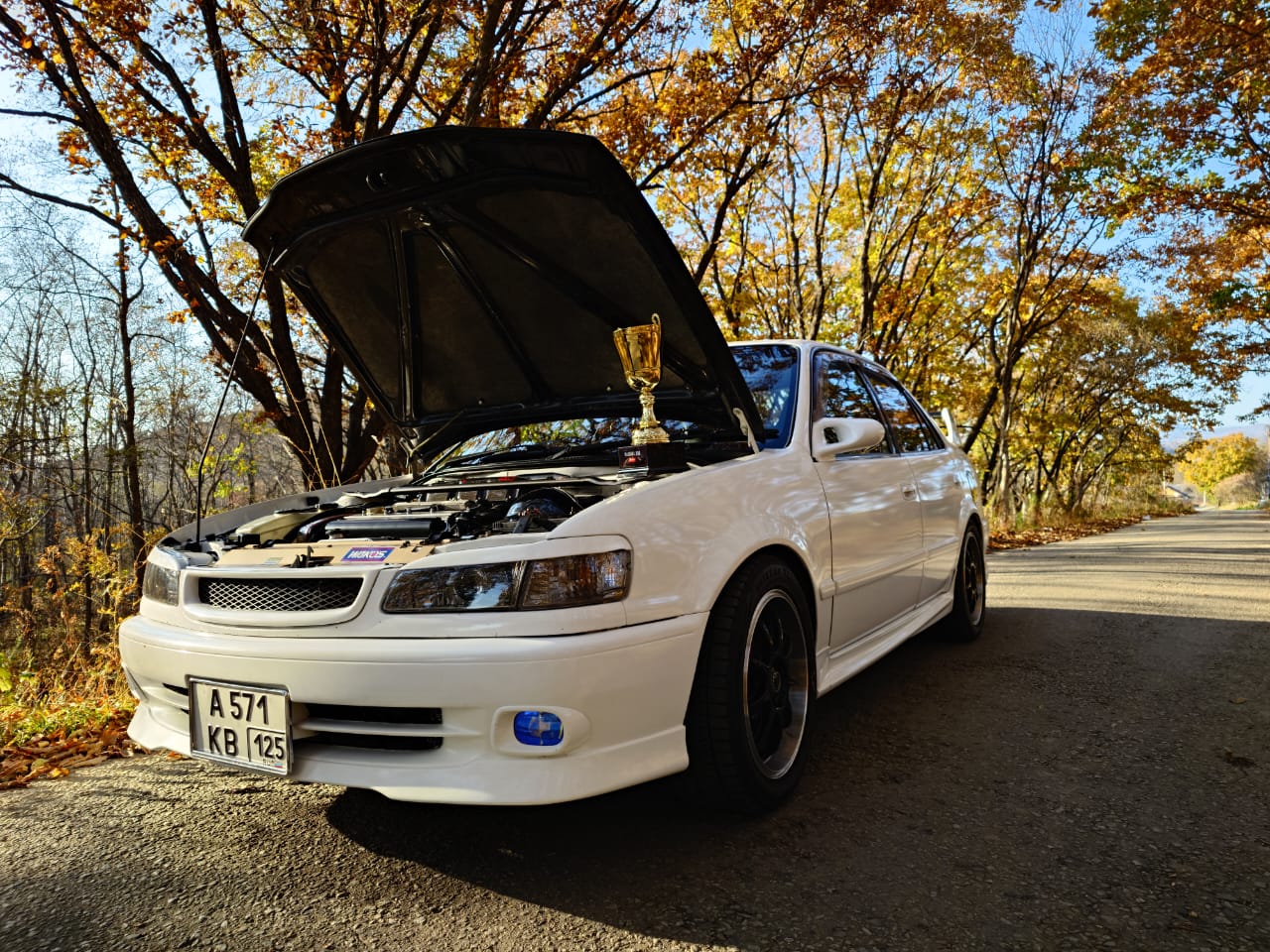 Галерея AeGarage